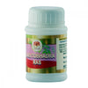 sarvtobhadra-ras-back-1000×1000-1.jpg