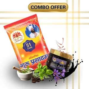 51 CARE ORIGINAL GURU PRASADAM+SHILAJIT GOLD