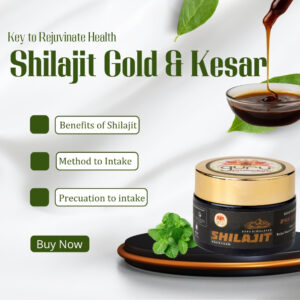 SHILAJIT RESIN GOLD